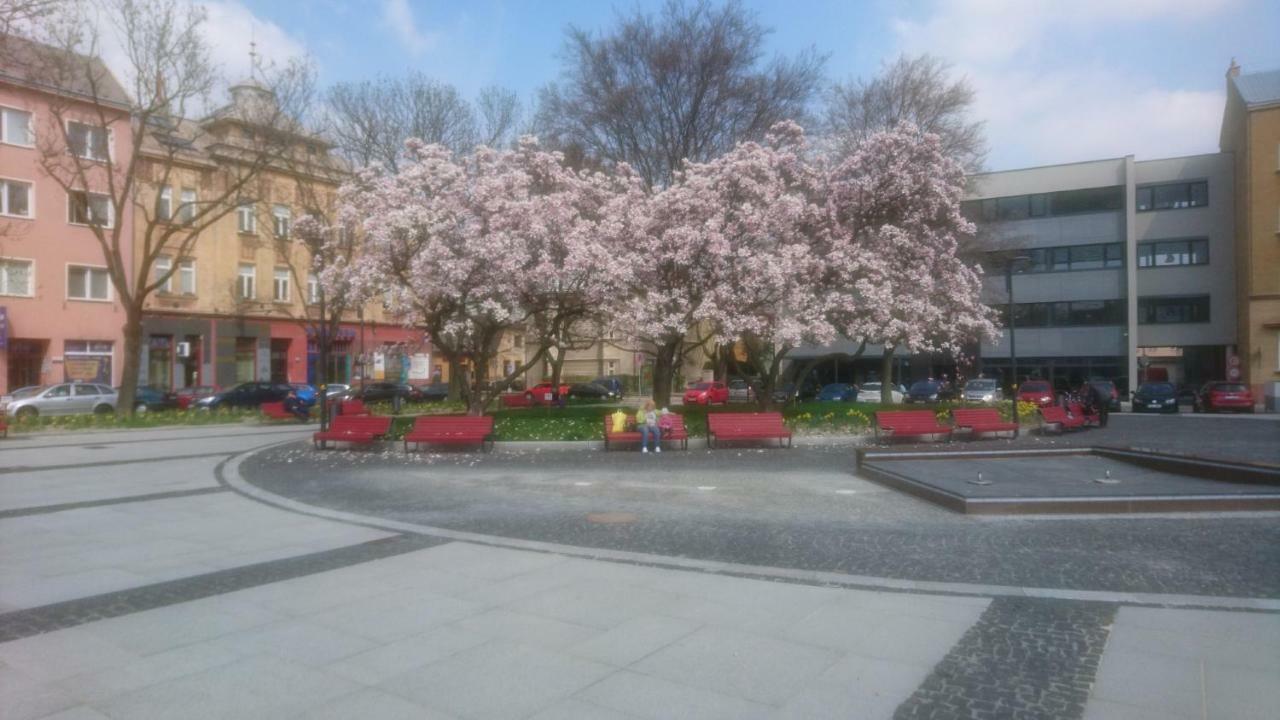 אוסטרבה Apartment Belvedere מראה חיצוני תמונה